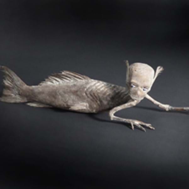 Freakish Bidding Image