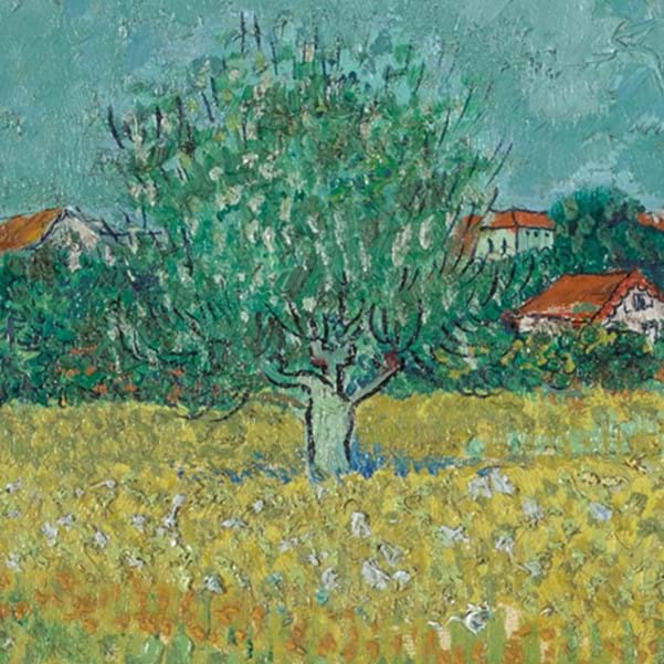 The Experimental Materials and Techniques of Vincent van Gogh Image