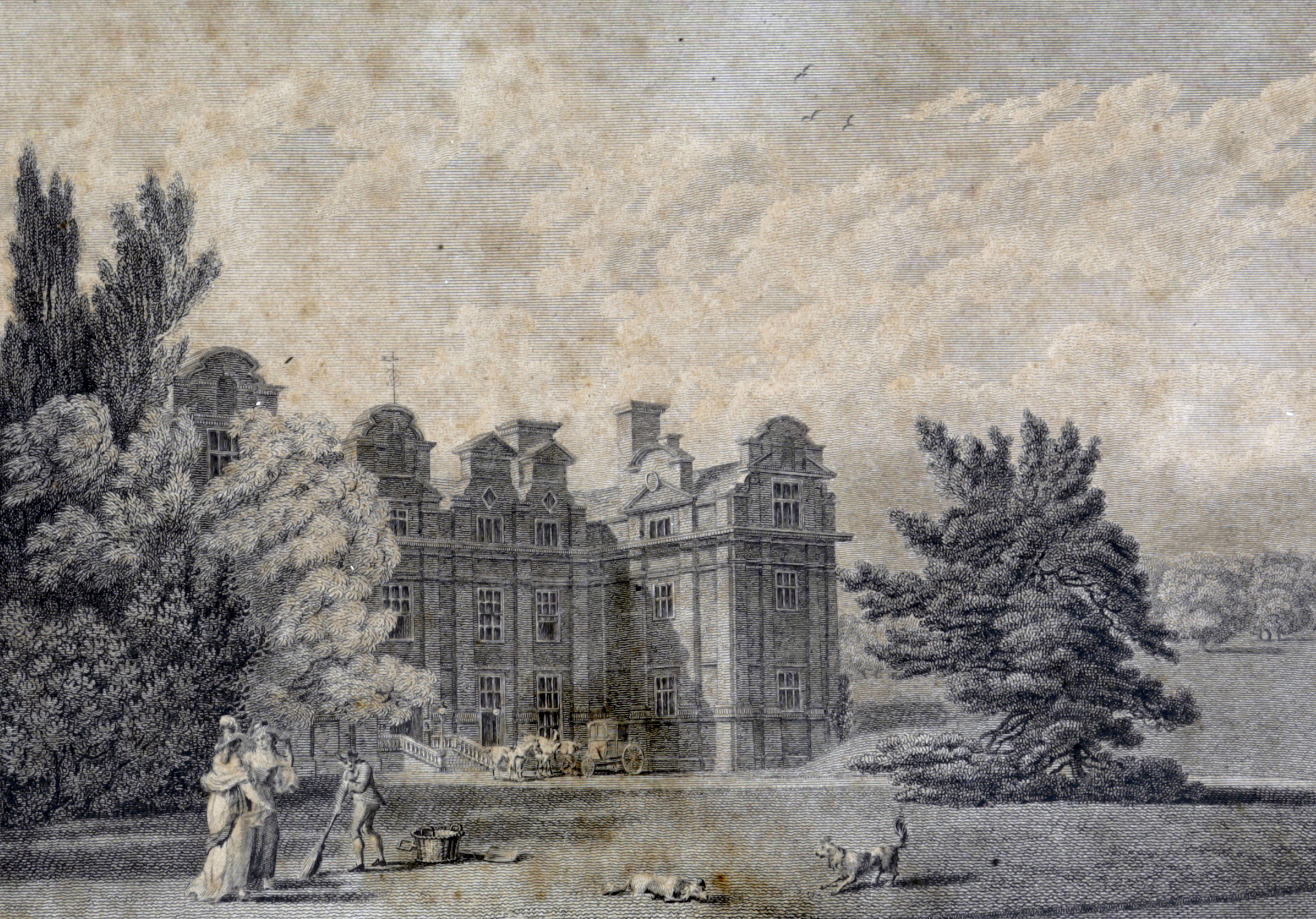 000 intro Broome Park.jpg 