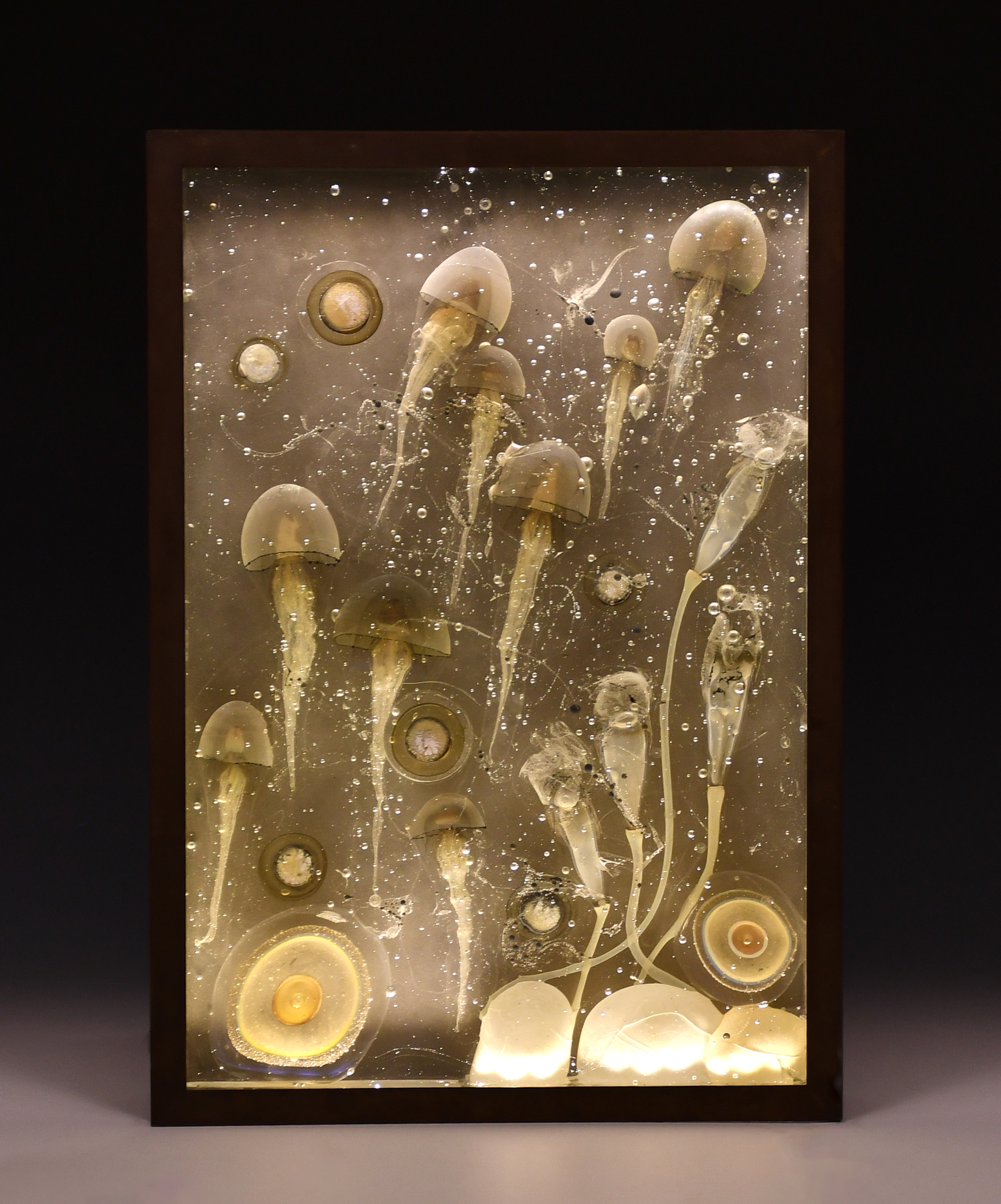 Object of the Month - Floating Forms Image