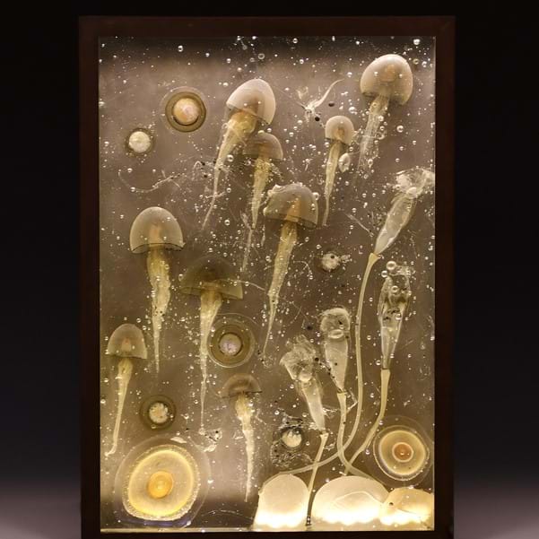 Object of the Month - Floating Forms Image